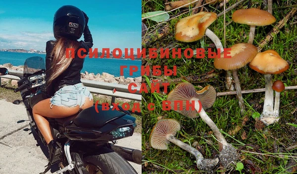 соль ск Коряжма
